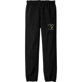 Delaware Jr. Blue Hens Youth Heavy Blend Sweatpant