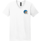 BagelEddi's Softstyle V-Neck T-Shirt