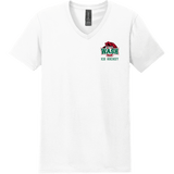 Wash U Softstyle V-Neck T-Shirt