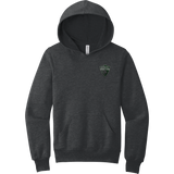 Lansing Spartans Youth Sponge Fleece Pullover Hoodie