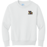 Dupage Black Bears Youth Core Fleece Crewneck Sweatshirt