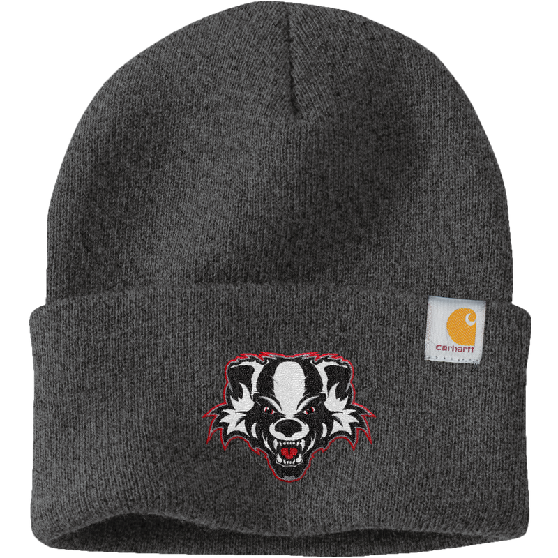 Scary Badgers Carhartt Watch Cap 2.0