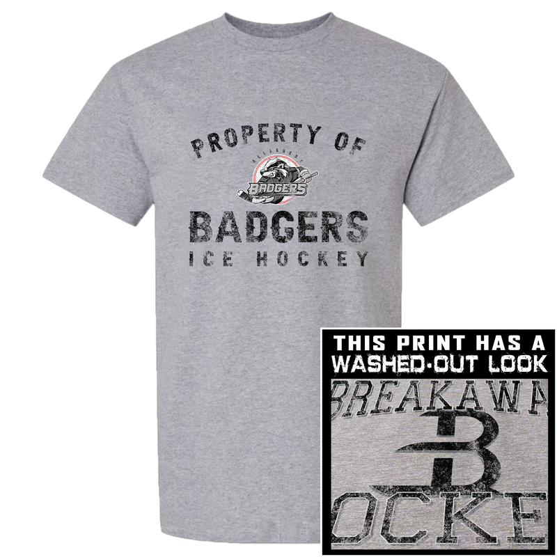 Allegheny Badgers Premium Short Sleeve Tee