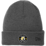 Upland Disc Golf New Era Speckled Beanie