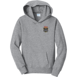 Danville Iron Youth Fan Favorite Fleece Pullover Hooded Sweatshirt