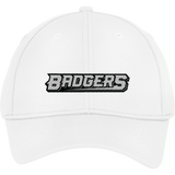 Allegheny Badgers Youth PosiCharge RacerMesh Cap